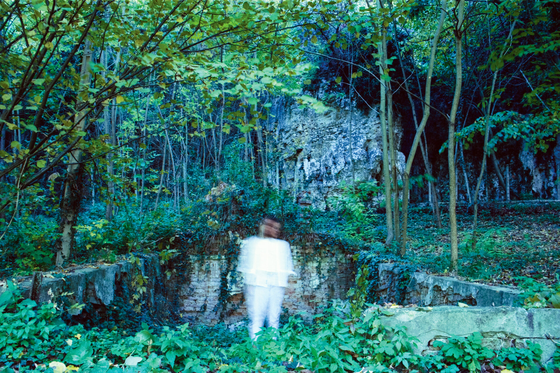 Bodies By Viktoria Raykova. This picture depicts a blurred woman standing in a forest.